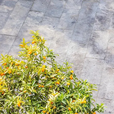 Apartmán Magnolia *